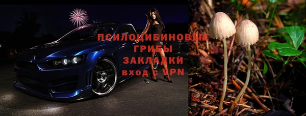сатива Белоозёрский