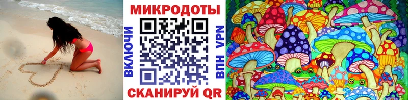 даркнет Telegram купить наркоту Рудня Псилоцибиновые грибы ЛСД